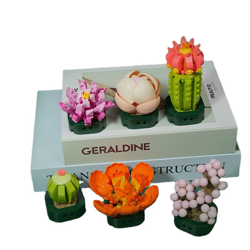 JK2728(1-6)多肉拼盤(pán)